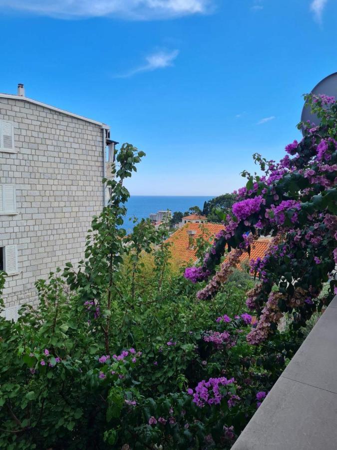 Apartments Deranja II Dubrovník Exteriér fotografie